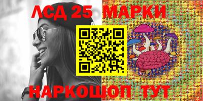 МДПВ Новокубанск