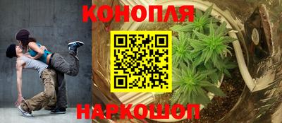 наркотики Новозыбков