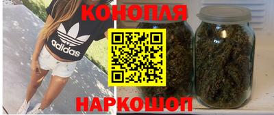 трава Новодвинск