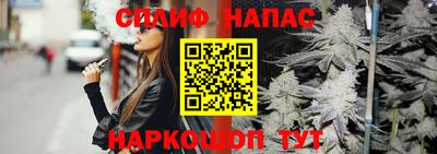 МДПВ Новокубанск